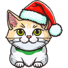 Stunning cat wearing Santa hat