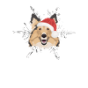 Shetland Sheepdog Joyeux Noël