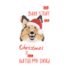 Shetland Sheepdog Joyeux Noël