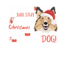 Shetland Sheepdog Joyeux Noël