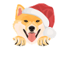 Shiba Inu Merry Christmas
