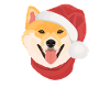 Shiba Inu Joyeux Noël