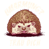 Umarmung? Trau Dich Igel