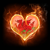 Fiery Proud Welsh