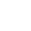 Future Lawyer Dream Job