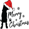 Joyeux Noël Berger Allemand
