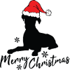 Joyeux boxer de Noël