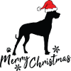Joyeux Noël Grand Dague