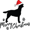 Joyeux Noël Labrador