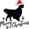 Joyeux Golden Retriever de Noël