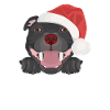 Staffordshire Bull Terrier Buon Natale
