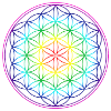 RAINBOW FLOWER OF LIFE