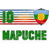 Mapuche Football Team