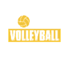 Entraîneur de volleyball