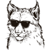 Luchs mit Sonnenbrille