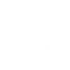 Lynx