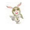 Rabbit Rabbit Sunglasses with scarf
