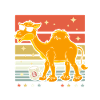 Kamel Kaffee-Sonnenbrille