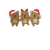 Quokka Christmas Pajamas