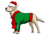 Labrador mit Weihnachtsmütze Weihnachtskostüm