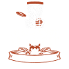 Frisbee Golf Disc Golf Cat