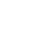 Odin's Raven