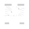Kung Fu Cat