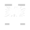 Line Dance Cat