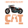 Moto Motard Moto Chat