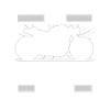 Motorcycle Biker Motorbike Cat