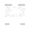 Muay Thai Thai Boxing Cat