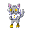 Underwater Cat Diving Diver