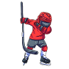 Ice hockey player