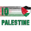 Palestine Football Team