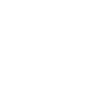 Violon Musicien