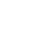 Violon Musicien