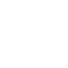 Violon Musicien