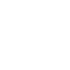 Violon Musicien