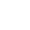 Violon Musicien