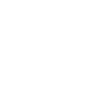 Violon Musicien