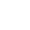 Violon Musicien