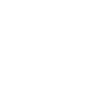 Violon Musicien