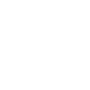 Violon Musicien