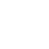 Violon Musicien