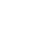 Violon Musicien