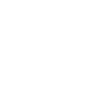 Violon Musicien