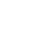 Violon Musicien