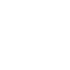 Violon Musicien