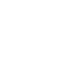 Violon Musicien