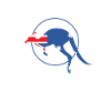 Kangaroo with Australian flag Australia